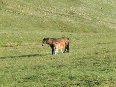 Back to the Brecons (Part 2)