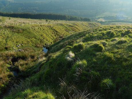 Back to the Brecons (Part 2)