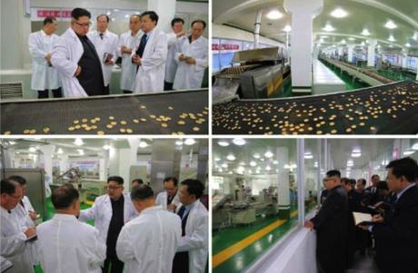 Kim Jong Un tours a production process at Pyongyang Cornstarch Factory (Photos: Rodong Sinmun/KCNA).