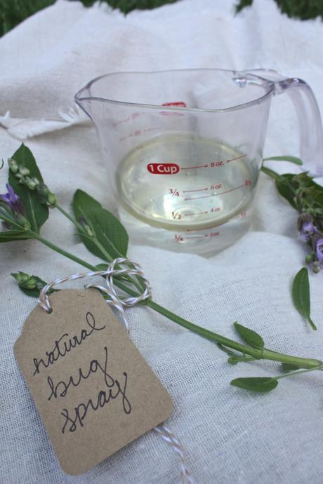 Natural Bug Spray DIY