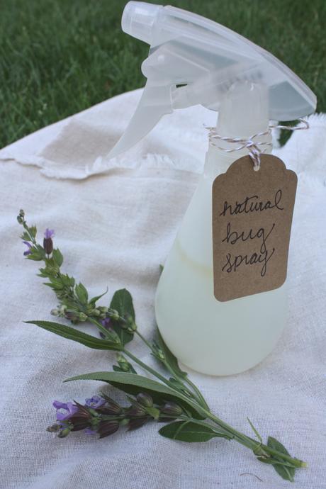 Natural Bug Spray DIY
