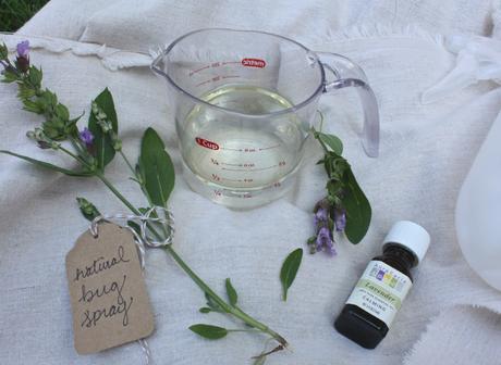 Natural Bug Spray DIY