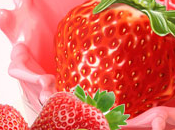 Fresh Strawberry Fragrance