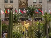 Just Desert: Cactus Garden Grows Midtown Manhattan