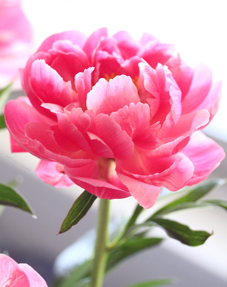 Current Mood Current Mood