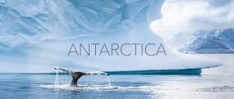 What is Whiteout Really About? anartica