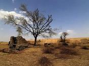 Seven Climate Records 2016 Environment Guardian