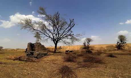 Seven climate records set so far in 2016 | Environment | The Guardian