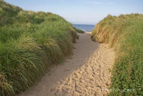 Image: Picture of the footpath to the beach at Embleton Bay, Northumberland (c) FreeFoto.com. Photographer: Ian Britton