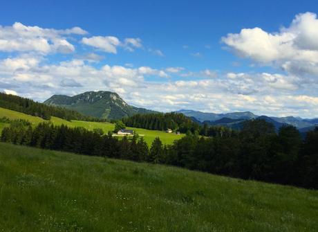 Can the Hochbärneckalm survive global warming?