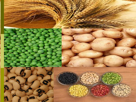 Carbohydrate-Foods
