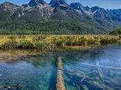 Discovering Zealand: Essential Don’ts