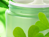 Green Clover Aloe Fragrance