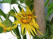 Getting There Slowly