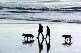 Image: Walking the dogs on Hastings three miles of beach (c) FreeFoto.com. Photographer: Ian Britton
