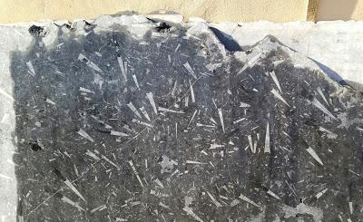 Morocco Odyssey 18: The Sahara Desert (i)