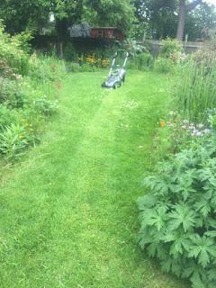 Product Review:  Gtech Cordless Lawnmower