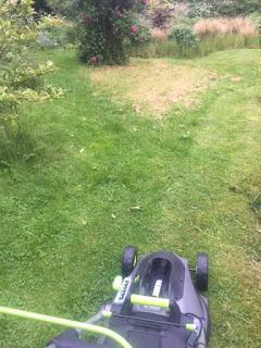 Product Review:  Gtech Cordless Lawnmower