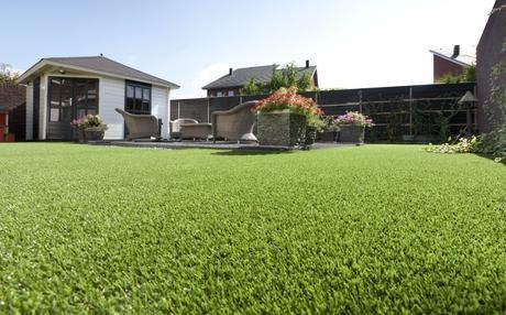 Pitch for a Pitch with Carpetright Artificial Grass