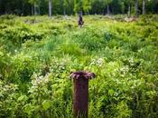 Birthplace U.S. Oil, Methane Leaking Everywhere