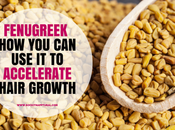 Fenugreek Seeds Accelerate Hair Growth