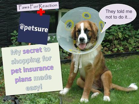 #epetsure: Comparing #PetInsurance plans made easy
