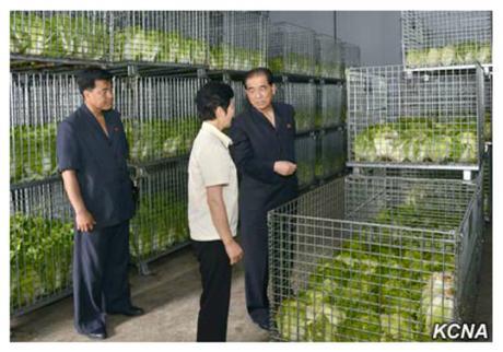 DPRK Premier Pak Pong Ju visits the Ryugyo'ng Pickle Factory in suburban Pyongyang (Photo: KCNA).