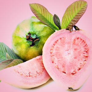 Guava Fragrance Oil