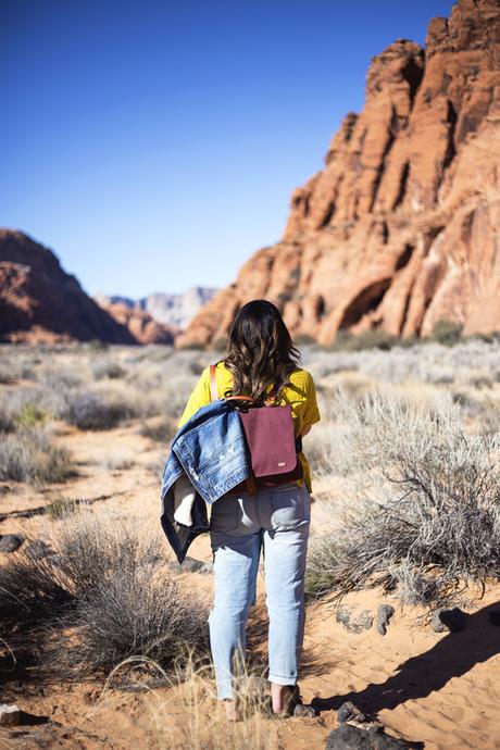 Exploring Snow Canyon State Park