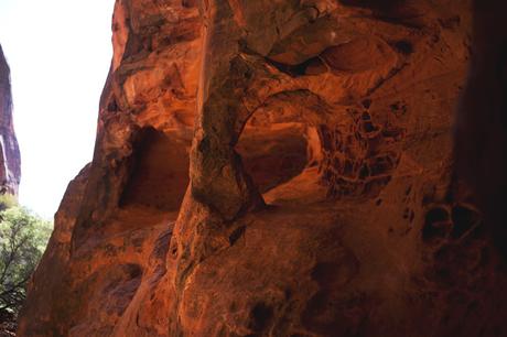 Exploring Snow Canyon State Park