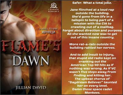 Hell To Pay Series Bundle by Jillian David @jilliandavid13 @starange13