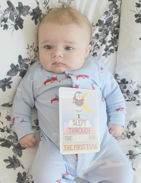 Sailor at 4 Months Old