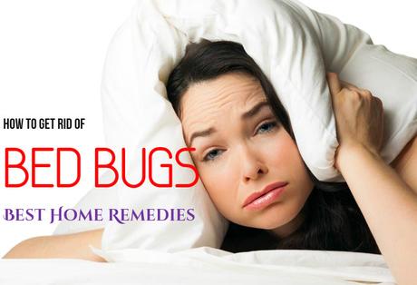 Get Rid Of Bed Bugs