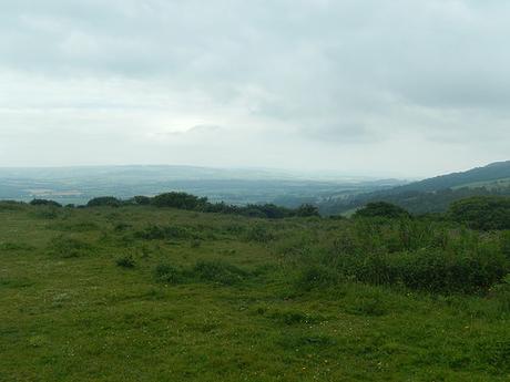 Saturday’s Group Walk