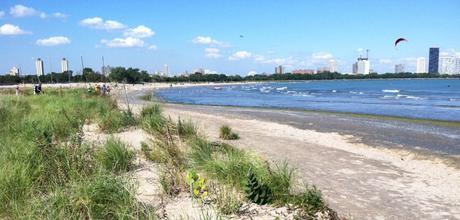 Chicago beaches