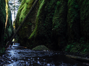 Summer Getting Hot? Cool Hiking Oneonta Gorge
