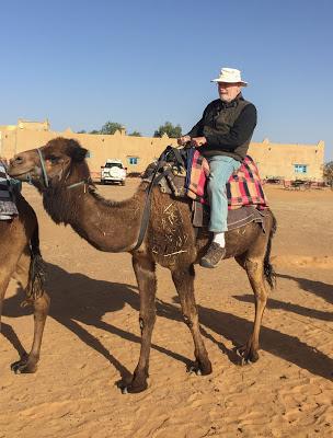 Morocco Odyssey 19: The Sahara Desert (ii)