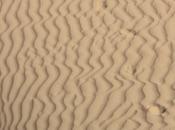 DAILY PHOTO: Footprints Sand