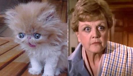 Jessica Fletcher Cat