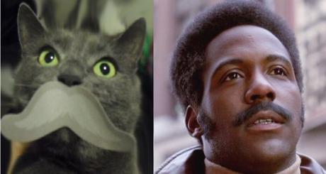 John Shaft Cat