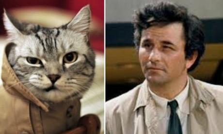 Columbo Cat