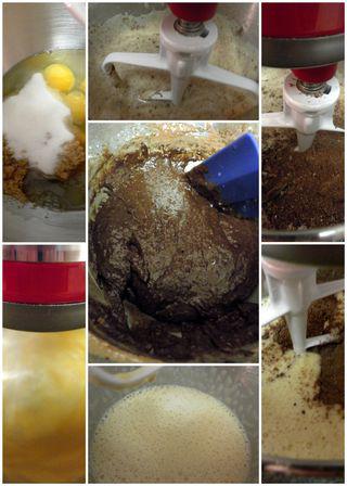 Chocolate Hazelnut Pave Cake - Cake batter collage