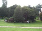 Jane Austen Words Troubled Souls