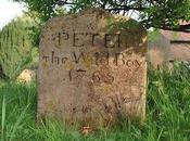 Peter Wild