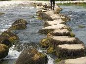 Stepping Stones