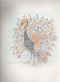 Whimsy