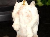 Uggie Dog’s Chopard Fine Jewelry Auctioned Charity