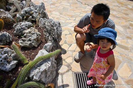 Monaco - Exotic garden, F1 and the legendary Monte Carlo