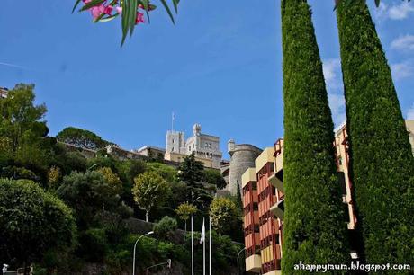 Monaco - Exotic garden, F1 and the legendary Monte Carlo