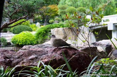 Monaco - Exotic garden, F1 and the legendary Monte Carlo